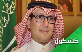 المنطقة تعاني من لَوْثَة إستعلاء السعودية على شعوبها