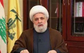  الشيخ قاسم: الحل يبدأ بتفكيك الملفات، والبداية من القضاء