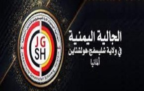الجالية اليمنية في ألمانيا تدين غارات السعودية على صنعاء