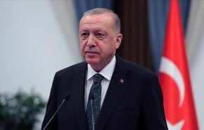 أردوغان: احتلال أوكرانيا يُعتبر انتهاكًا لسلامة المنطقة 
