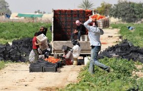 الاردن اصدر في 2021 عددا قياسيا من تصاريح العمل للسوريين