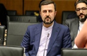 غريب آبادي يرد على تصريحات مسؤولين في المانيا وفرنسا

