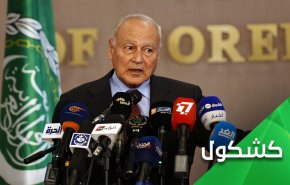 الى أبو الغيط.. العرب هم من يحتاجون لسوريا