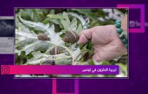 صناعة النحاس في شمال ايران

