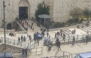 اقتحام منطقة باب العامود بالقدس من قبل وزير داخلية الاحتلال  