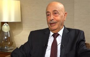 عقيلة صالح: حل الأزمة يجب أن يكون ليبياً