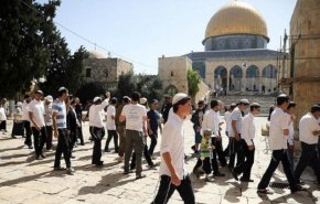 مستوطنون يقتحمون الأقصى ودعوات للحشد في ’فجر التحدي’