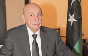 رئيس مجلس النواب الليبي يلتقي رئيس المخابرات المصرية