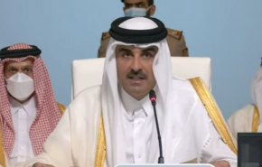 أمير قطر يدعو لمزيد من الحوار لضمان أمن إمدادات الغاز العالمية