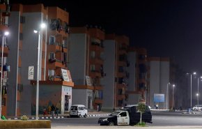 مصر.. شجرة تسقط عددا كبيرا من الضحايا
