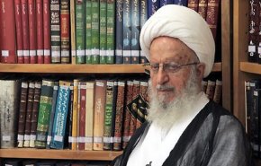 آية الله مكارم شيرازي ينتقد الصمت الدولي ازاء المجازر التي ترتكب بحق الشيعة في باكستان
