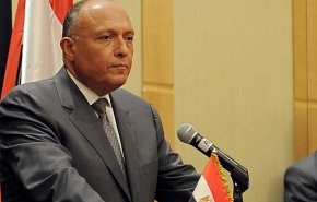 وزير الخارجية المصري يتحدث عن دور العرب في الأزمة الاوكرانية