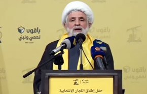 الشيخ نعيم قاسم: باقون في الميدان ونحمي الأرض والعرض