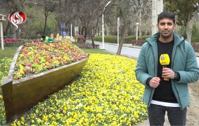 مدينة مشهد تتزين بالأزهار استقبالاً لعيد النوروز 