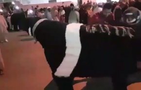 احتفال النيروز في سلطنة عمان