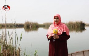 شاهد.. هور العظيم وجمال الطبيعة في خوزستان 