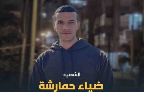 شاهد.. مواقع التواصل تبارك 