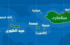 الإمارات تفتتح مطارا عسكريا في جزيرة تابعة لسقطرى