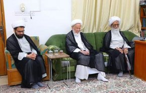 بينهم آية الله السيد السيستاني.. لقاءات بين مراجع الدين في النجف الأشرف+صور
