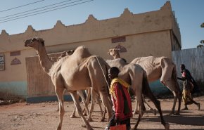 15 مليون شخص يواجهون أزمة إنسانية بسبب الجفاف في القرن الإفريقي