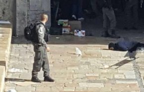فيديو استشهاد الفلسطينية غادة سباتين برصاص الاحتلال يشعل مواقع التواصل
