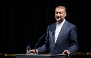 امير عبداللهيان يتحدث حول الدبلوماسية الذكية للحكومة الايرانية