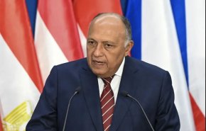 وزير الخارجية المصري يبحث العلاقات الاستراتيجية مع أمريكا في واشنطن