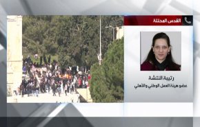 شاهد.. هكذا الاحتلال يستفز مشاعر الفسطينيين