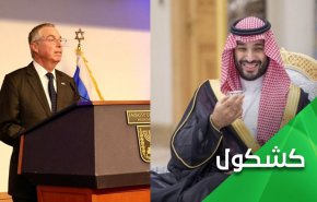 سفير 