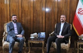 امير عبداللهيان وغريب آبادي يؤكدان ضرورة استيفاء حقوق الايرانيين المقيمين في الخارج