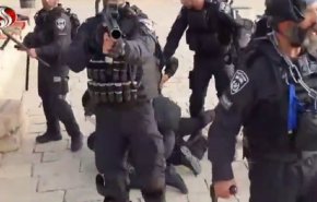  قوات الاحتلال تعتدي على المرابطين في المسجد الأقصى بالهراوات  