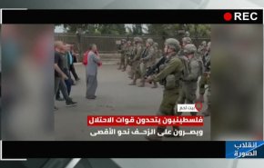 شاهد.. صور من باحات المسجد الاقصى تصل لحد الخيال!
