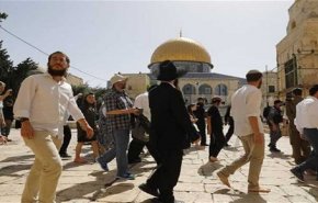 جماعات صهيونية تدعو لاقتحام 'الأقصى' الخميس. .مسئول فلسطيني يرد