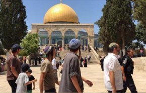 شاهد.. المستوطنون يستأنفون اقتحام المسجد الاقصی 