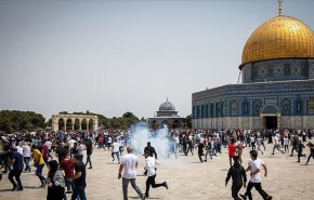 الفلسطينيون يكسرون شوكة الاحتلال ومستوطنيه داخل الاقصى المبارك 