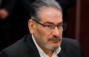 شمخانی: دولت بر مهمترین پرونده‌های سیاسی و اقتصادی کشور مسلط است