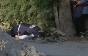 أمير سعودي يعلق على جريمة اغتيال شيرين أبو عاقلة