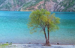 شاهد: بحیرة 