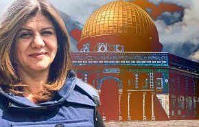 ۲۵۰ سازمان حقوق بشری خواستار مجازات رژیم صهیونیستی شدند