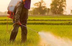 باستخدام أشعتي غاما والكترون .. ايران تخطط لحذف السموم في الزراعة