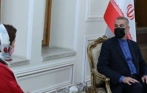 دیدار معاون وزیر خارجه اسلواکی با امیرعبداللهیان
