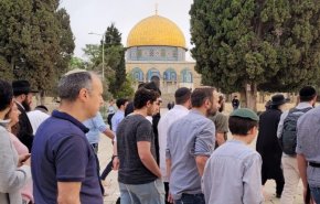 منظمة استيطانية تدعو لاقتحام واسع للمسجد الأقصى الأحد القادم