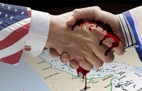 بالفيديو.. 