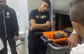 اراد منع وقوع مجزرة بجنين، فسقط شهيداً.. شاهد الفيديو