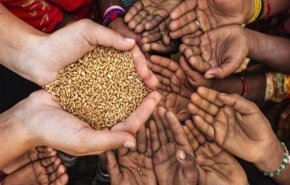 شاهد..الأمن الغذائي العالمي في خطر..