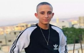 جنين..20 شهيدا فلسطينيا بينهم فتاة منذ بداية العام 