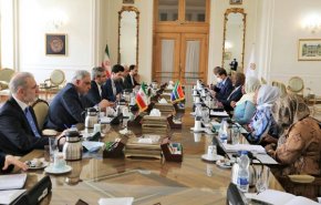 باقري يؤكد على ضرورة مواجهة الأحادية وتعزيز التعددية
