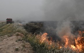 استشهاد 6 مزارعين عراقيين باعتداء إرهابي في كركوك
