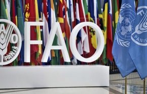 الغذاء الدولية: ايران تتبوأ موقعا مهما في انتاج 20 منتجا زراعيا