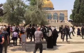 تجدد الاقتحامات للمسجد الاقصى المبارك وسط تكبيرات المرابطين